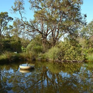 Bush reflections Canvas Print Wall Art