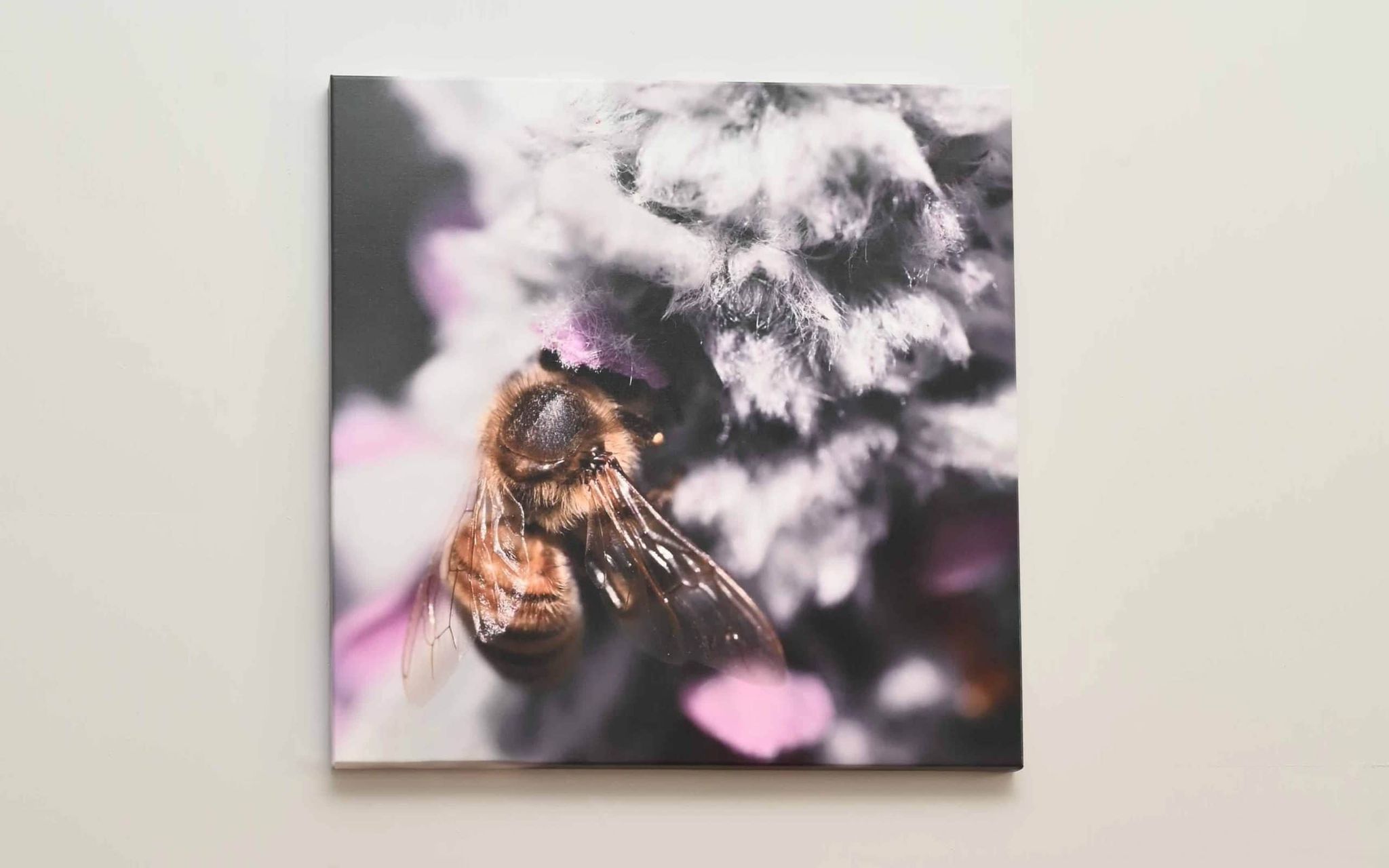 Lamb's Ear Bee Canvas Print Wall Art - Image 4