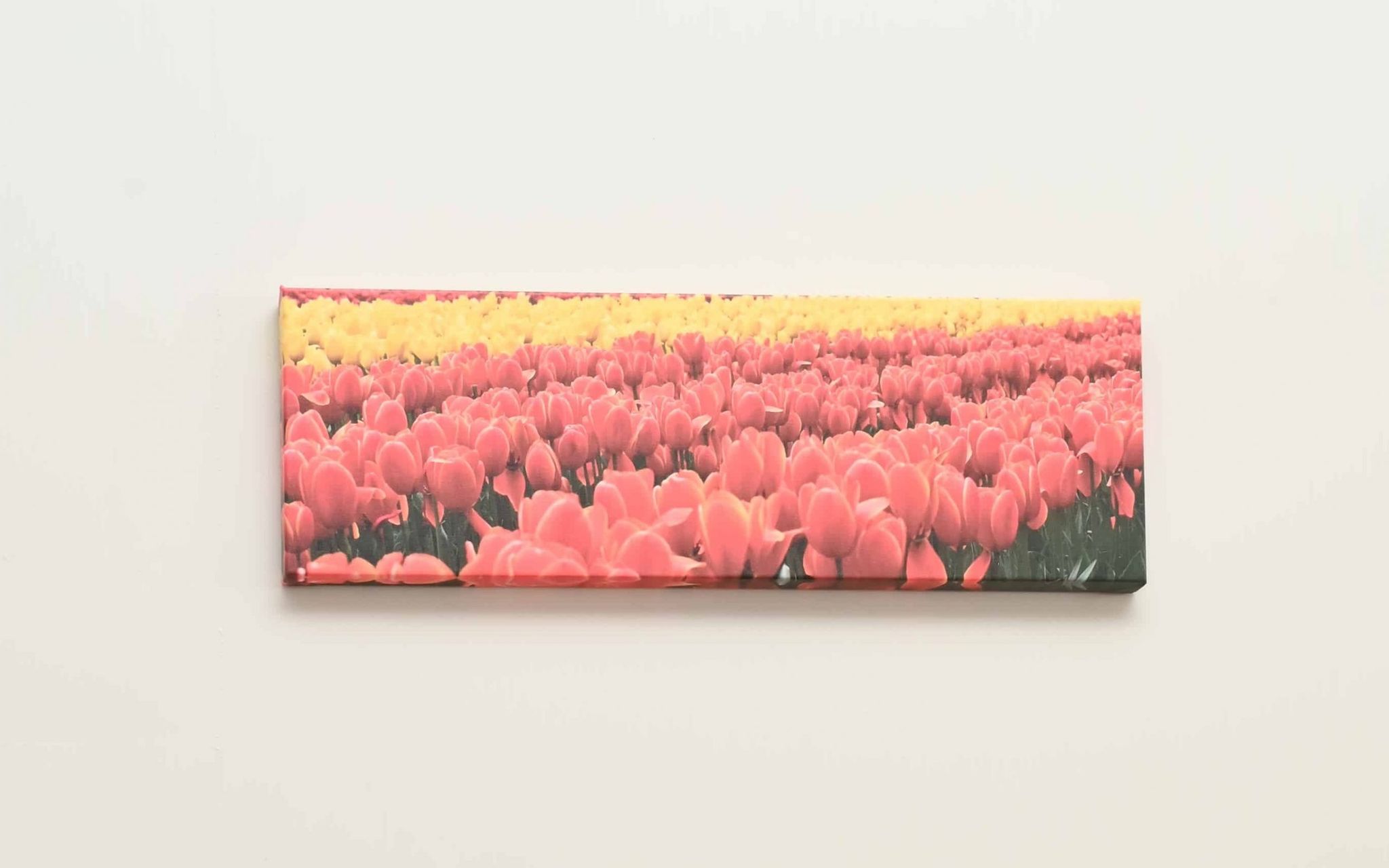 Tulip Festival Panorama Canvas Print Wall Art - Image 3