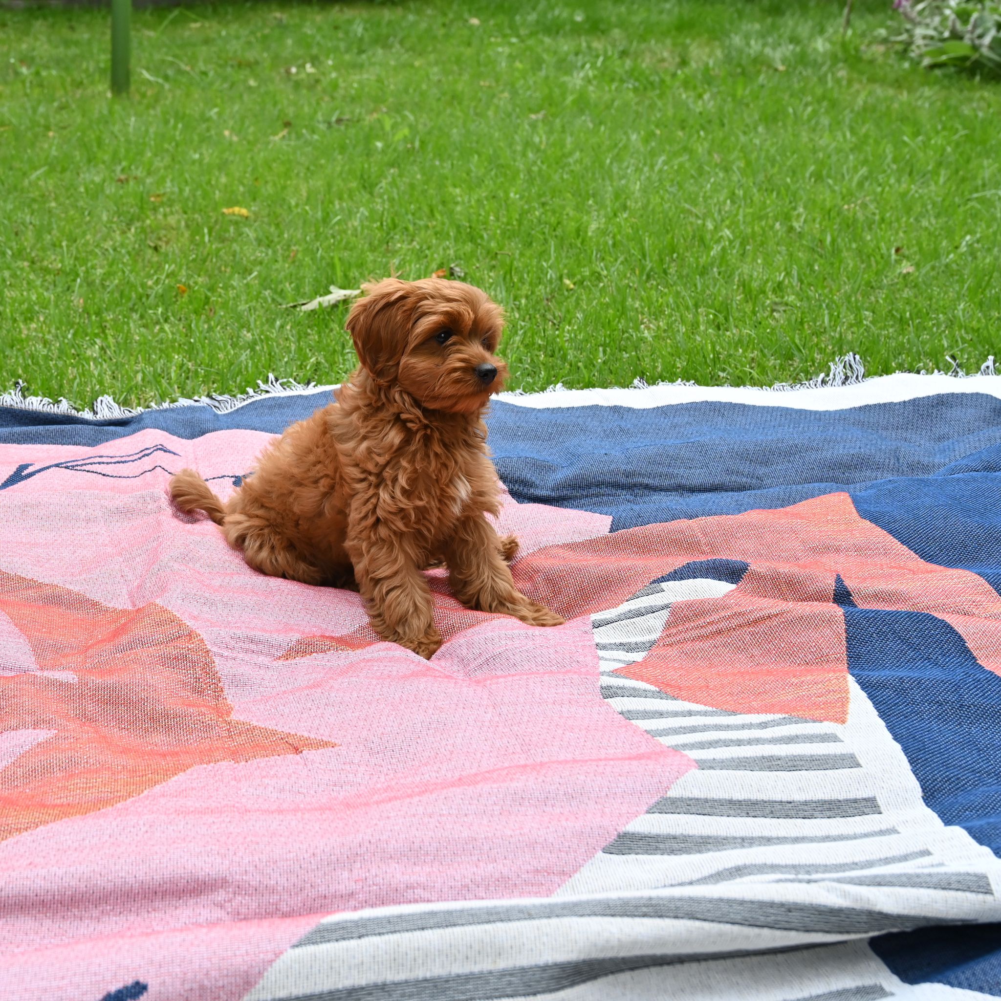 Soaring Geometric Throw/Picnic Rug Large - Image 9