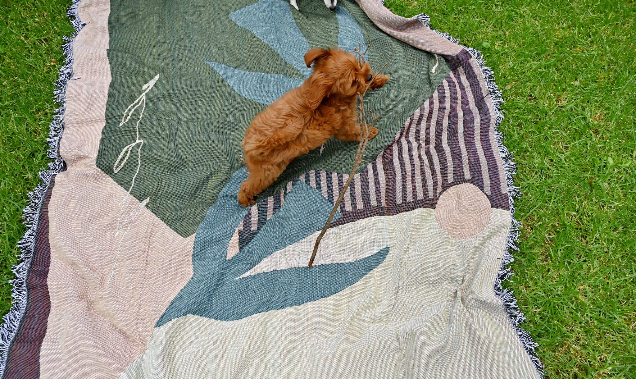 You are currently viewing Summertime is here!!